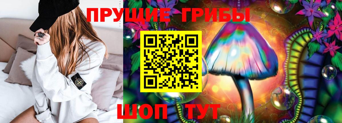 Псилоцибиновые грибы мухоморы  Вход с VPN  Королёв 